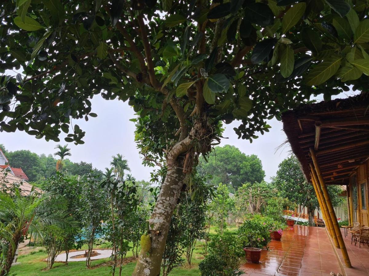 Willa Byve Garden Hanoi Zewnętrze zdjęcie