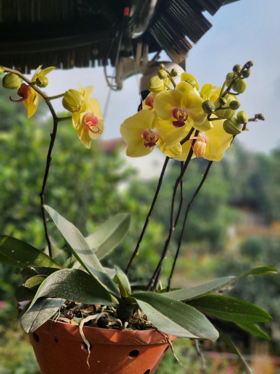 Willa Byve Garden Hanoi Zewnętrze zdjęcie